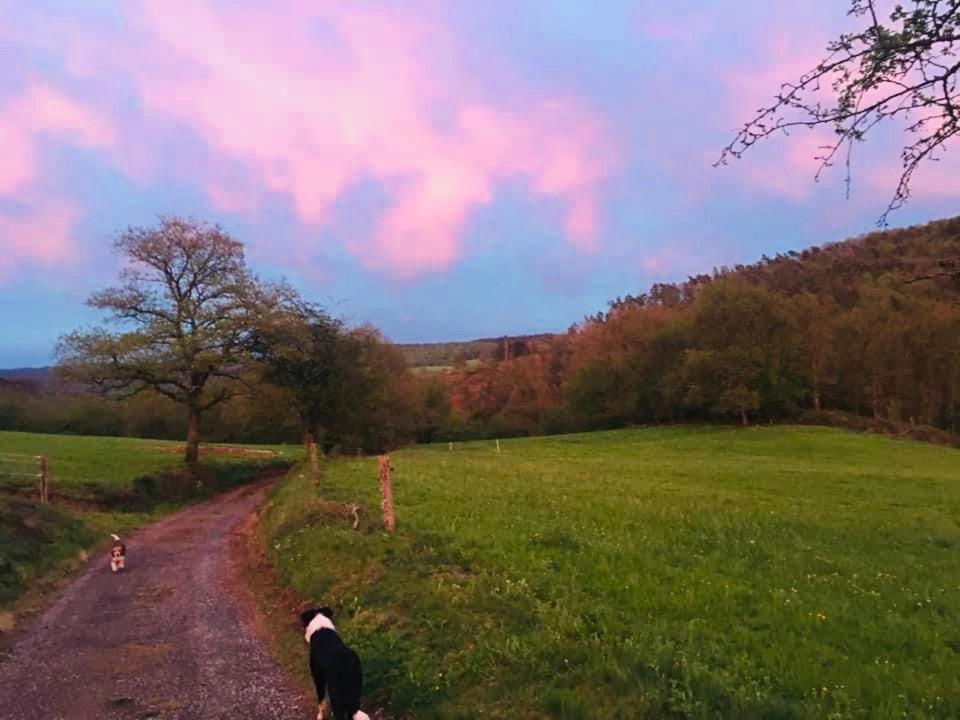 Le Chant De L Aisne Érezée Buitenkant foto